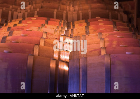 Des tonneaux de vin dans une cave de La Rioja Espagne Banque D'Images