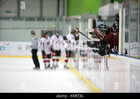 Banc de Stingers de Concordia au cours de match amical contre le Dundalk Bulls au Dundalk Irlande Dundalk bol de glace Banque D'Images