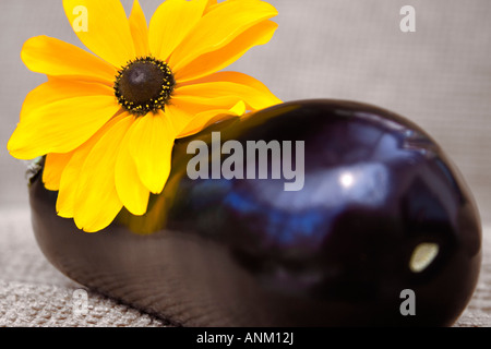 Aubergine violette et fleur jaune (Rudbeckia, compositae) creative photo horizontale Banque D'Images