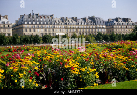 Une vue sur le jardin des Tuileries ou le jardin des Tuileries assis près du Louvre le long de la Seine Banque D'Images