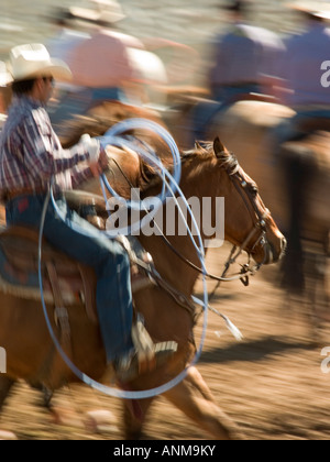 Les concurrents de rodéo se préparer pour le concours de rodéo Tucson Banque D'Images