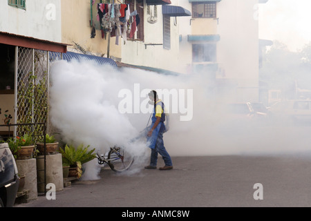 La fumigation pour tuer les moustiques Aedes pour empêcher la Malaisie dans denggi Banque D'Images