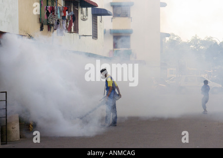 La fumigation pour tuer les moustiques Aedes pour empêcher denggi à Terengganu, Malaisie. Banque D'Images