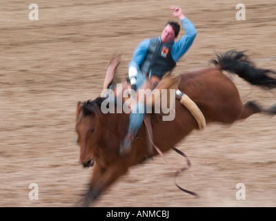 Les concurrents de rodéo se préparer pour le concours de rodéo Tucson Banque D'Images