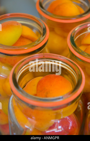 Abricots Moorpark mûrs en bouteille emballés dans des bocaux sous vide à conserver dans un sirop de sucre léger Banque D'Images