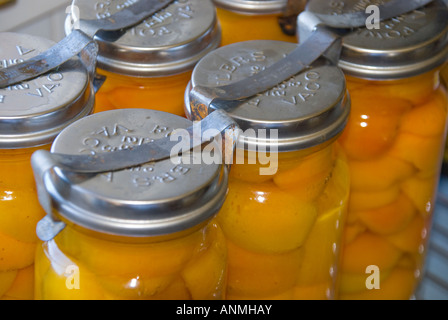 Abricots mûrs en bouteille emballés dans des bocaux sous vide à conserver dans un sirop de sucre léger Banque D'Images