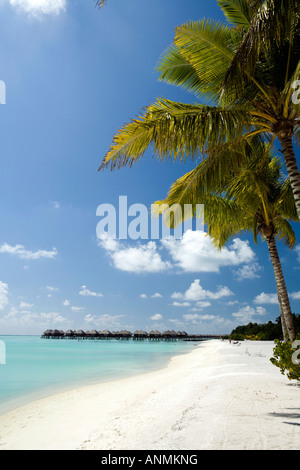 Maldives South Male Atoll Meeru Island Resort Beach Banque D'Images