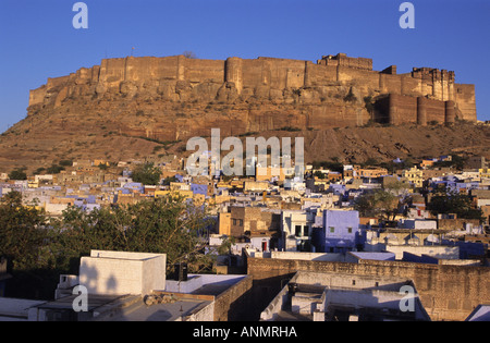 Fort Mehrangarh surplombant les maisons de Jodhpur Banque D'Images