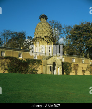 La folie Lodge d'ananas avec dôme en forme d'ananas dans Dunmore Park au sud-est de l'Ecosse centrale Sterling Banque D'Images