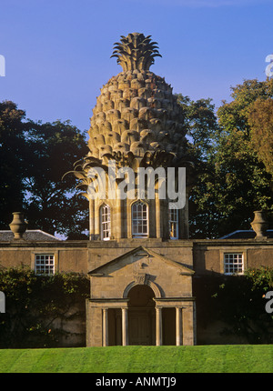 La folie Lodge d'ananas avec dôme en forme d'ananas dans Dunmore Park au sud-est de l'Ecosse centrale Sterling Banque D'Images