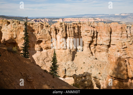 Bouleau noir Canyon, Bryce Canyon National Park dans l'Utah, USA Banque D'Images