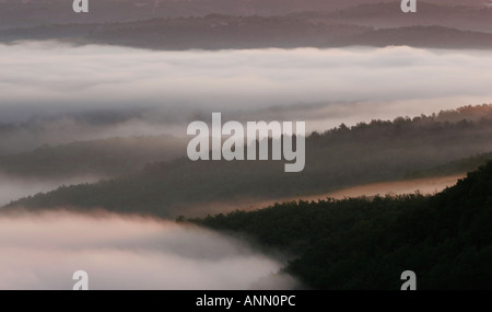 Le brouillard de vallée et versants boisés ; tôt le matin Banque D'Images