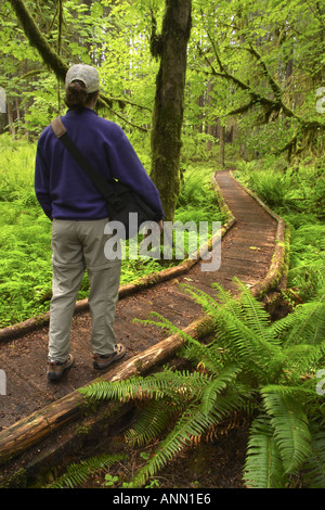 Sentier de randonnée femme sur la croissance par de vieux Soleduck de forêt pluviale tempérée de la vallée de la rivière du parc national Olympique Washington Banque D'Images