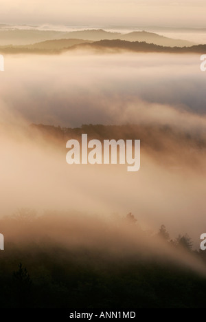 Paysage de brume matinale sur tourbillonnant campagne vallonnée Banque D'Images