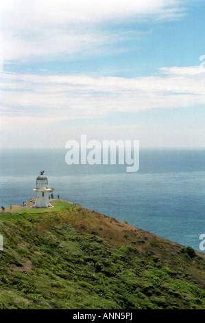 Au phare du cap Reinga, Northland, North Island, New Zealand Banque D'Images