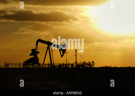 Puits de pétrole de Pico Truncado, industrie pétrolière à Santa Cruz, en Argentine, en Patagonie, l'Amérique du Sud Banque D'Images