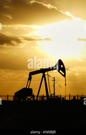 Puits de pétrole de Pico Truncado, industrie pétrolière à Santa Cruz, en Argentine, en Patagonie, l'Amérique du Sud Banque D'Images