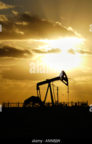 Puits de pétrole de Pico Truncado, industrie pétrolière à Santa Cruz, en Argentine, en Patagonie, l'Amérique du Sud Banque D'Images