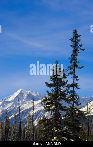La forêt enneigée et les pics de Vista donnent sur le lac, le Parc National de Kootenay, Colombie-Britannique, Canada Banque D'Images