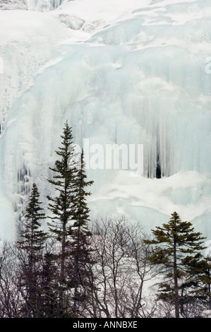 Chutes Tangle- cascade de glace, Parc National Jasper, Alberta, Canada Banque D'Images
