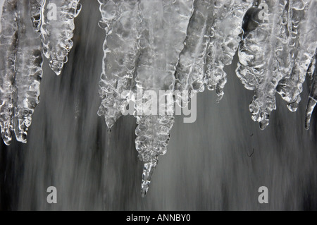 Chutes Tangle- cascade de glace, Parc National Jasper, Alberta, Canada Banque D'Images