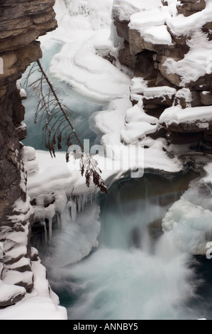 Formations de glace aux chutes Athabasca, Jasper National Park, Alberta, Canada Banque D'Images