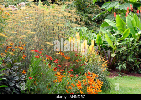 Au cours de la frontière chaude Août à Holbrrok Jardin dans le Devon Banque D'Images