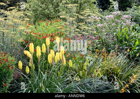 La frontière chaude à Holbrook Jardin en Août Banque D'Images