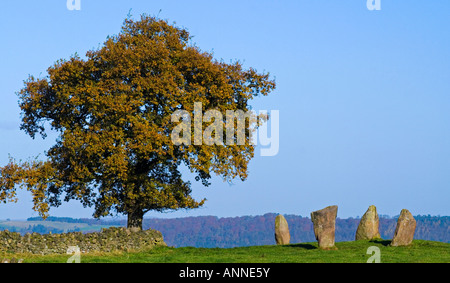 L'âge du bronze et le cercle de pierre arbre sur Harthill Moor près de Birchover dans le parc national de Peak District Derbyshire, Angleterre, Royaume-Uni Banque D'Images