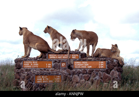 Deux Lions africains femelles adultes et deux jeunes sub-adultes à l'aide d'un panneau de pierre comme un point d'observation dans le Parc National de Nairobi Kenya Banque D'Images