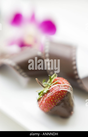 Des chocolats dans une chambre d'hôtes de l'hôtel Fairmont Le Reine Elizabeth à Montréal, province de Québec, Canada. Banque D'Images