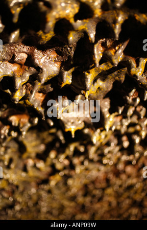 À l'intérieur de Gruta do Carvao grotte de lave de l'île de São Miguel Açores Portugal Banque D'Images