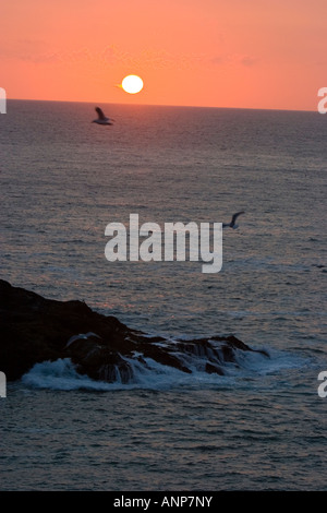 Cornish coucher de soleil sur la mer Banque D'Images