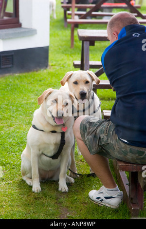 Paire de chiens Labrador avec leur propriétaire Banque D'Images