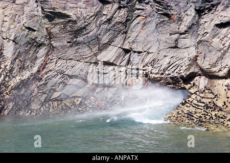 Le coup de Boscastle trou où l'eau de mer est chassé comme un fin brouillard de pulvérisation et Banque D'Images