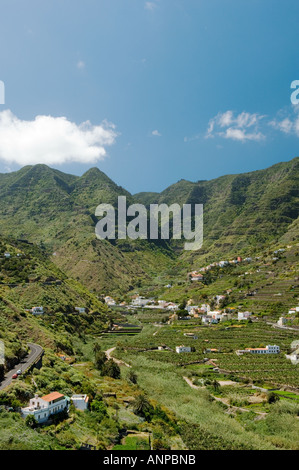 Île de La Gomera, Îles Canaries, Espagne. Les plantations de banane et d'Hermigua village dans la vallée de Hermigua, sur la côte nord Banque D'Images