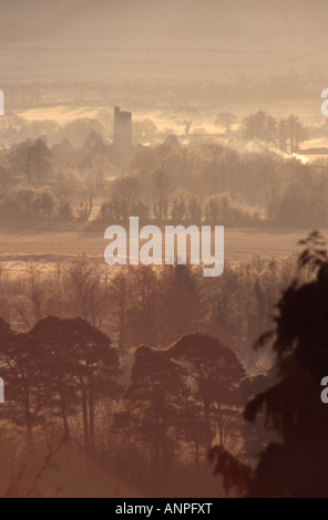 Ambiance d'hiver avec château en ruines en arrière-plan. Kilcrea Friary/Abbaye Banque D'Images