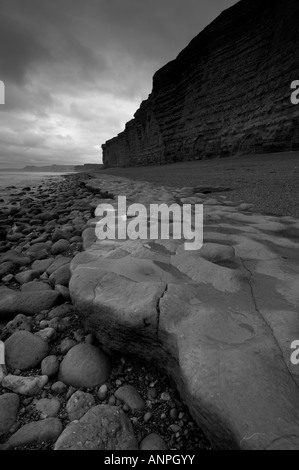 Photo monochrome de Burton Bradstock cliffs montrant le plateau jurassique rock sur le rivage Dorset UK Banque D'Images