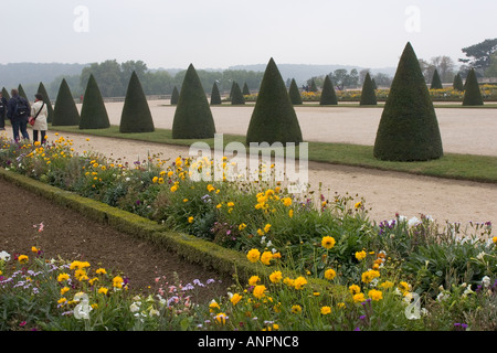 Le parterre dans les jardins du château de Versailles Paris France UE Banque D'Images