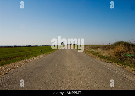 Lonely road to nowhere - champ de blé biologique sur la gauche Banque D'Images