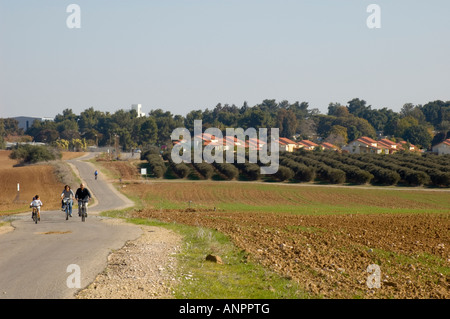 Sortie en famille à Kibbutz Be'eri. Un champ de blé biologique est sur la droite, d'orangeraies et de maisons communautaires dans l'avant-garde Banque D'Images