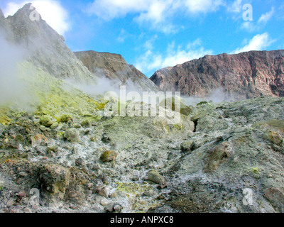 Tour de l'île blanche au large de Whakatane Nouvelle-Zélande NZ uniquement actif volcan marin Banque D'Images