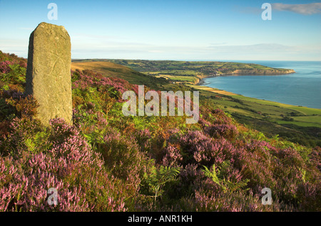 Une borne au milieu de la bruyère au-dessus de Robin Hoods Bay Banque D'Images