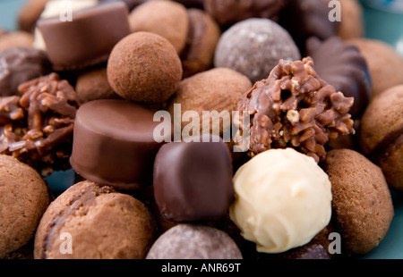 Un assortiment de chocolats de luxe Banque D'Images