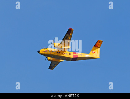 De Havilland Canada (CC-115 Buffalo DHC-5D) Banque D'Images