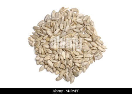 Graines de tournesol sur fond blanc Banque D'Images