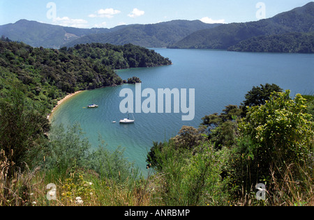 Quiet cove, Marlborough Sounds, île du Sud, Nouvelle-Zélande Banque D'Images