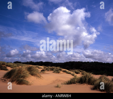 Dunes de sable près de la plage à Formby Merseyside Lancashire stabilisé par l'ammophile Merseyside Lancashire England Banque D'Images