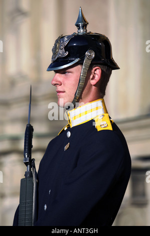 Garde royale, Palais de Stockholm, Stockholm, Suède, Stadsholmen Banque D'Images