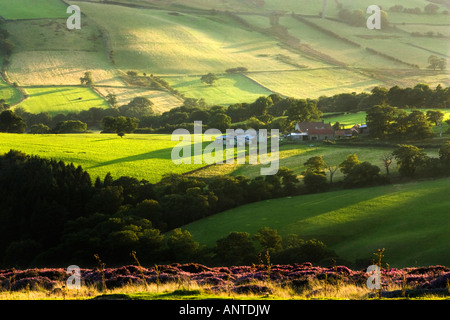 Head House farm en Farndale sur le North York Moors en fin d'après-midi soleil. Prises de Blakey Ridge. North Yorkshire, UK Banque D'Images